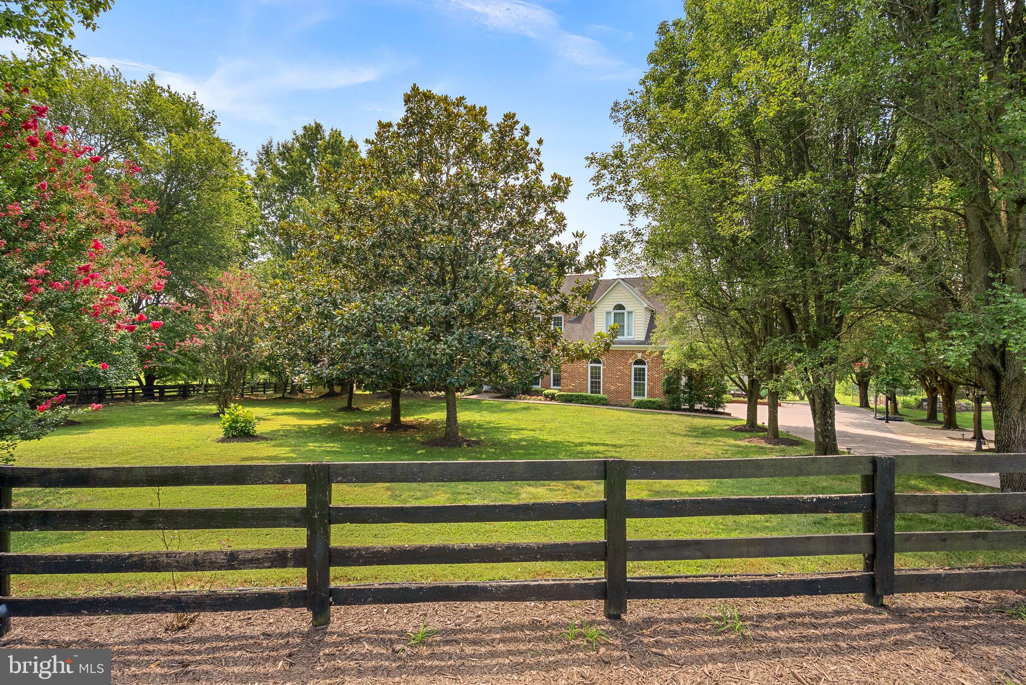 TREVOR HILL - Residential