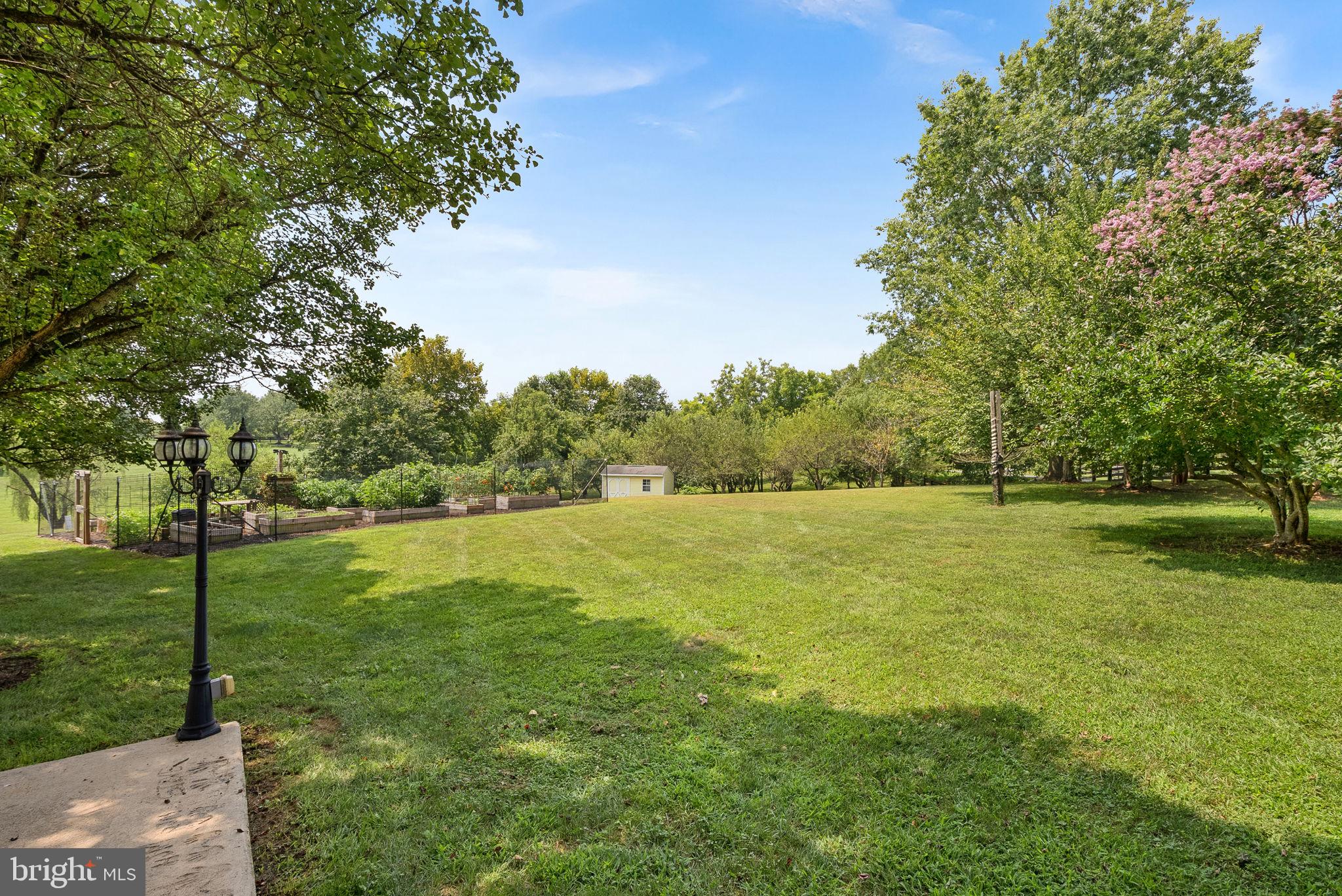 TREVOR HILL - Residential