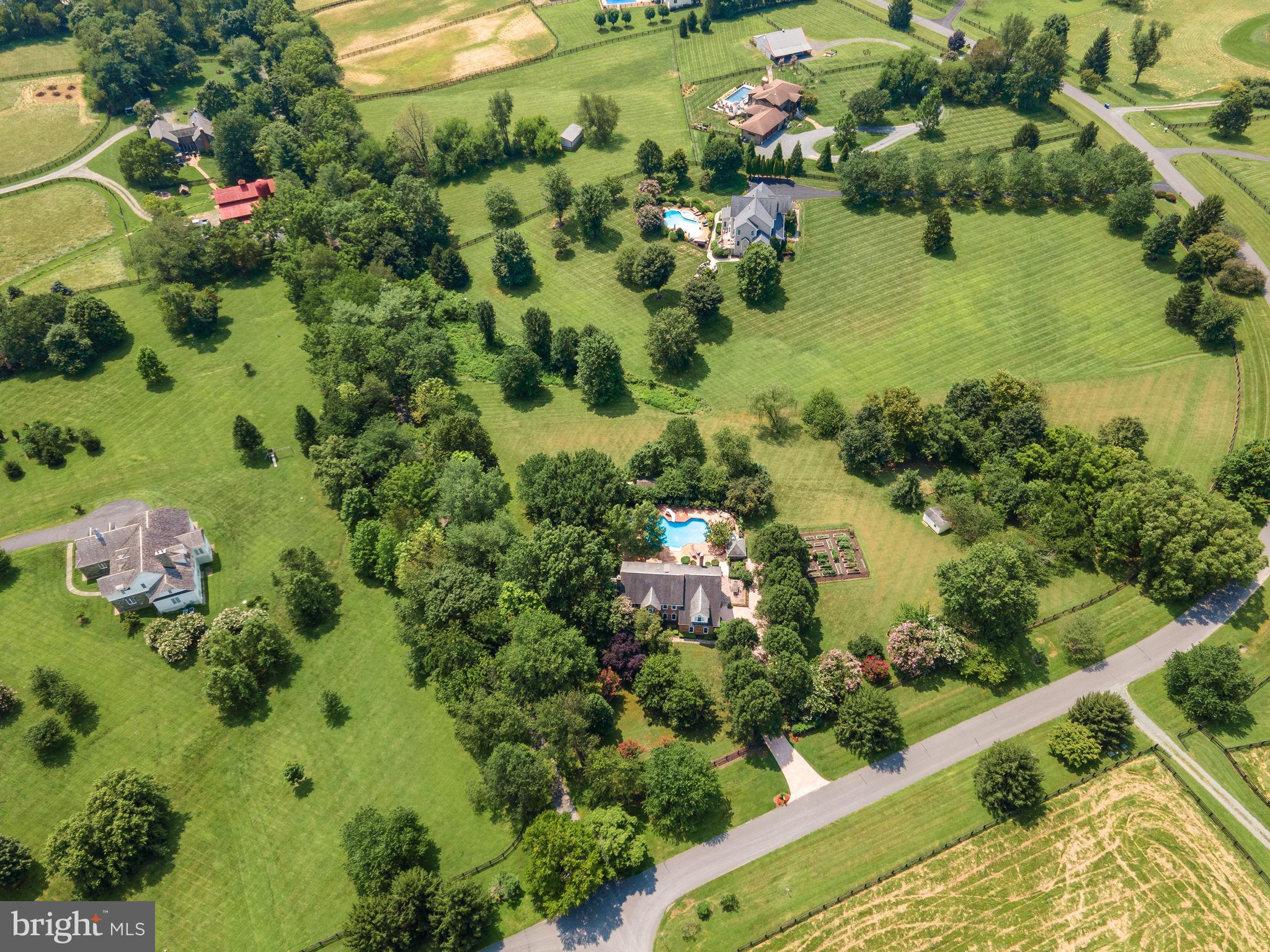 TREVOR HILL - Residential