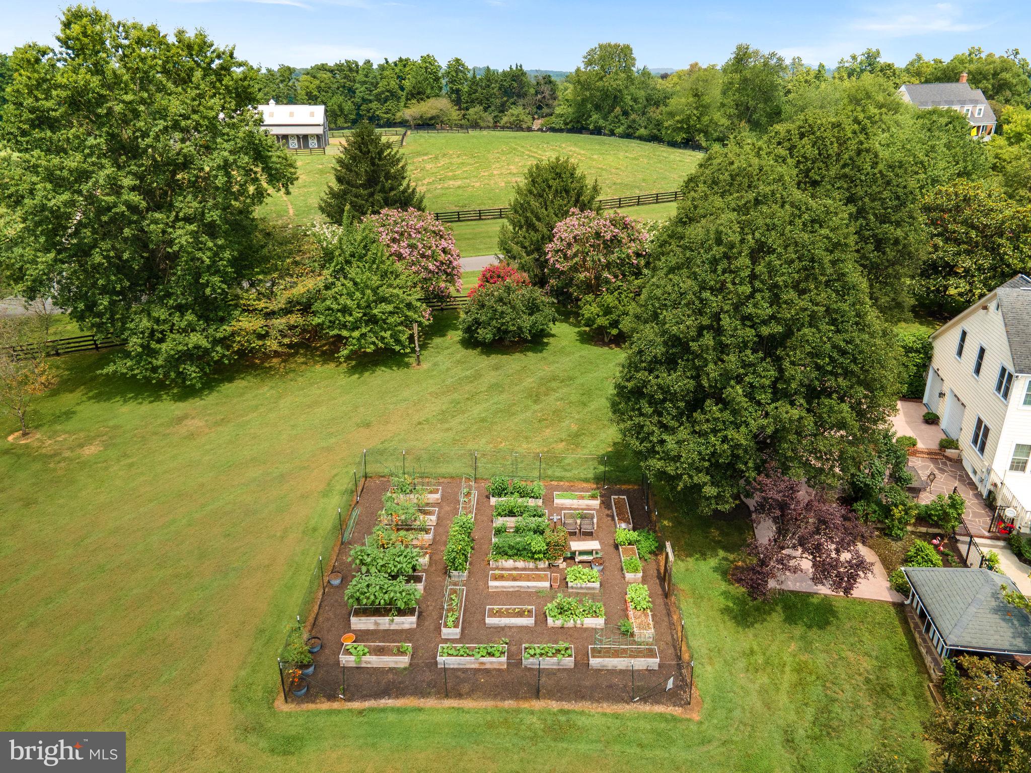 TREVOR HILL - Residential