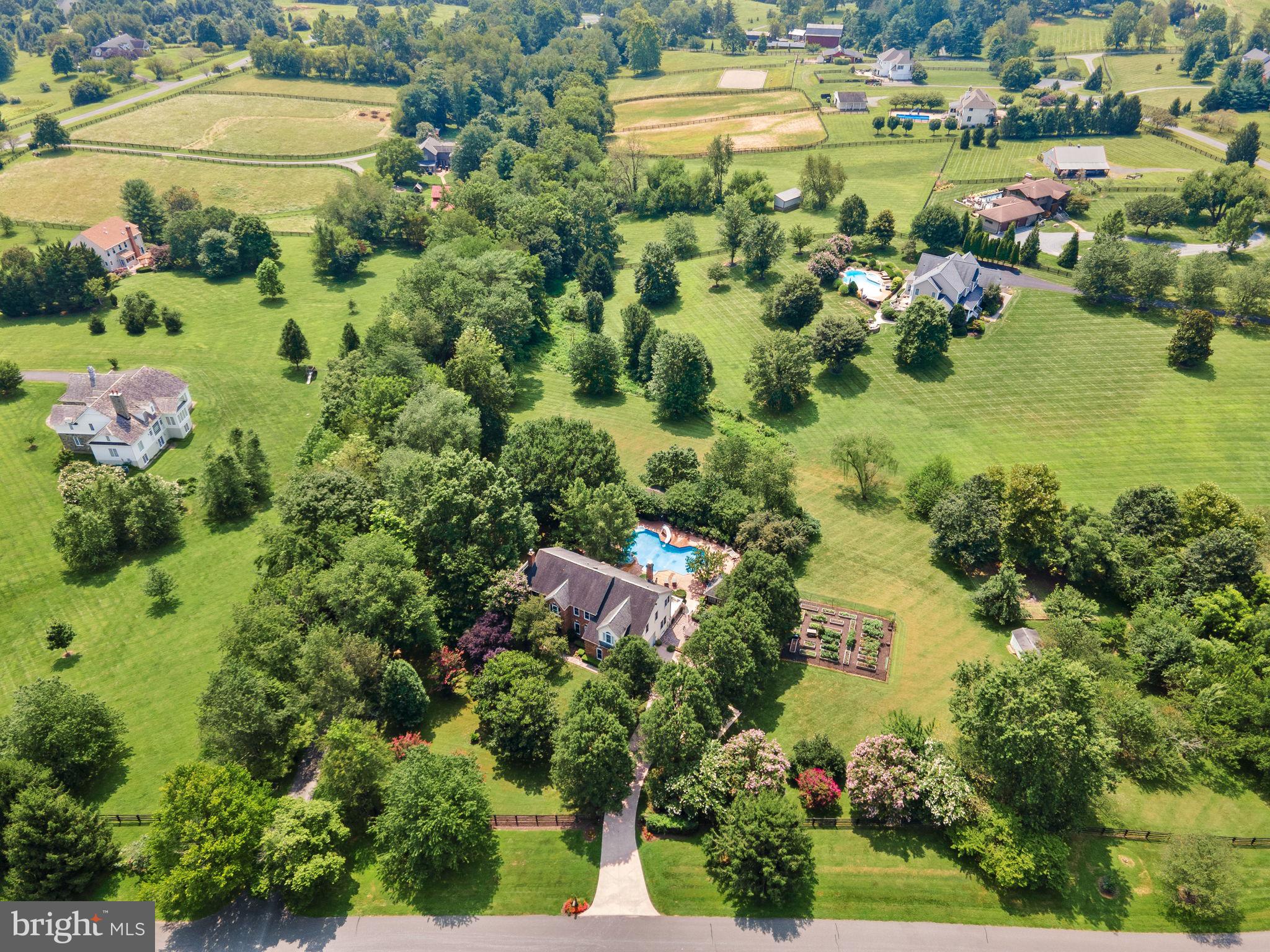 TREVOR HILL - Residential