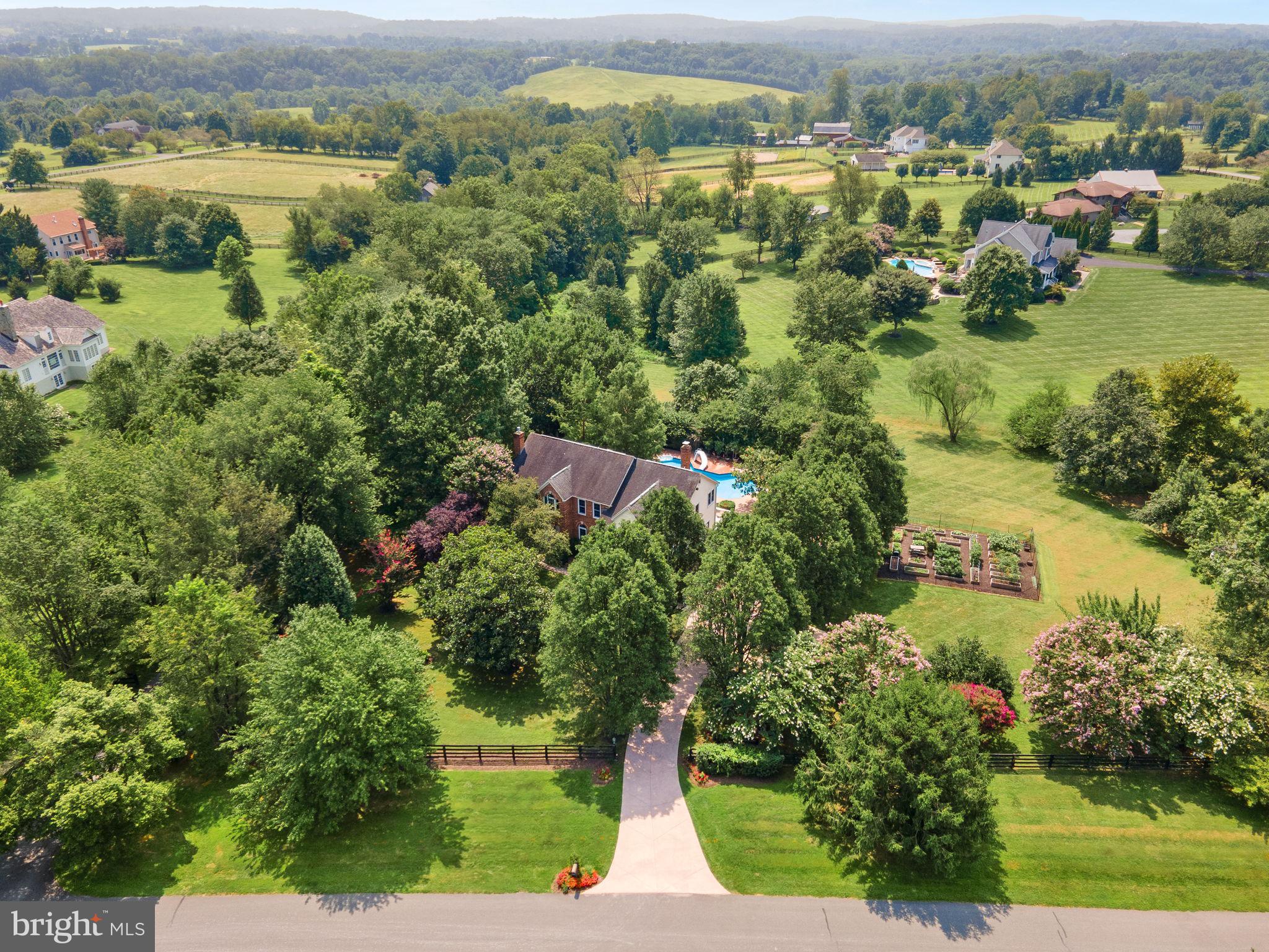 TREVOR HILL - Residential