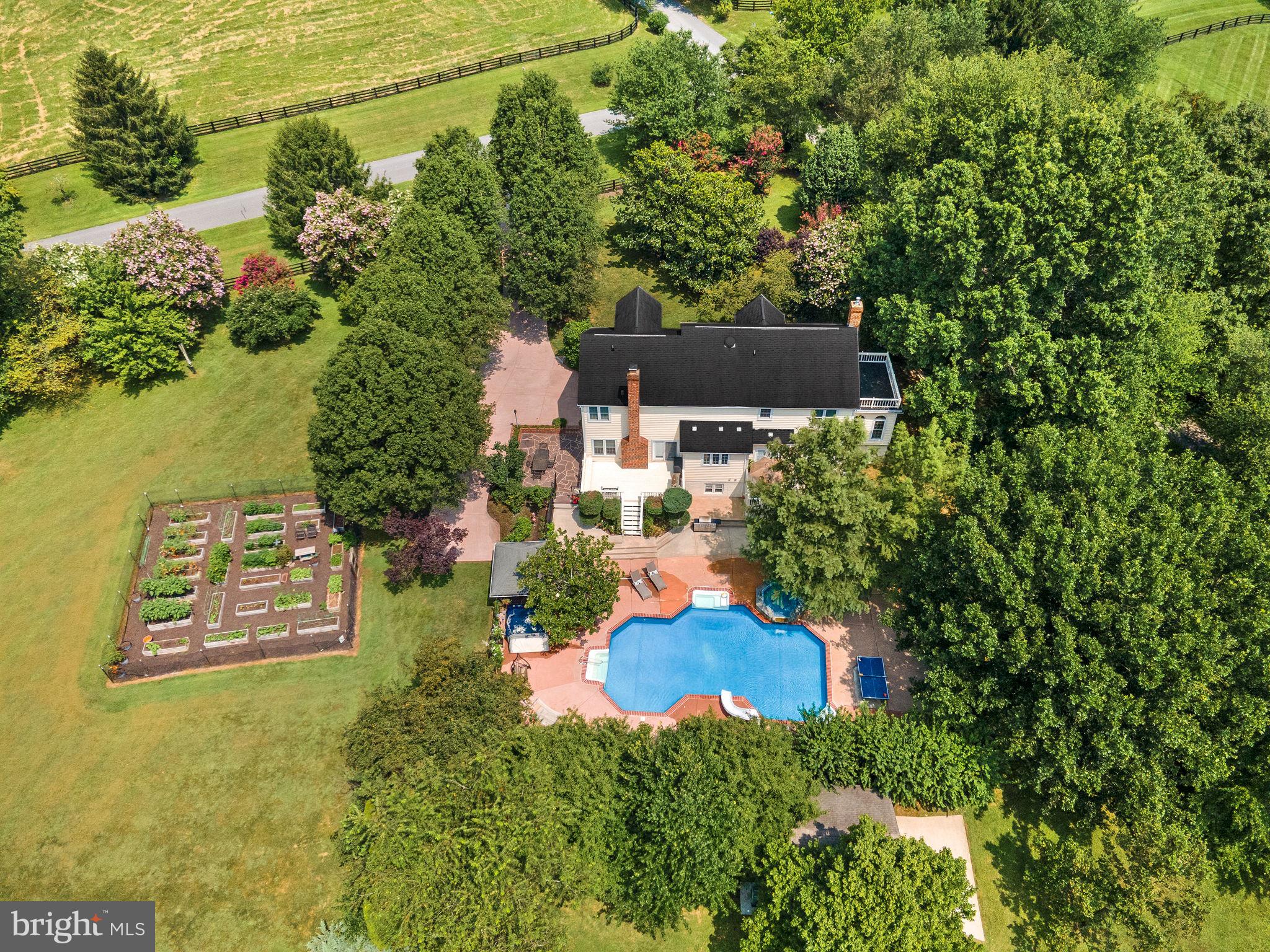 TREVOR HILL - Residential