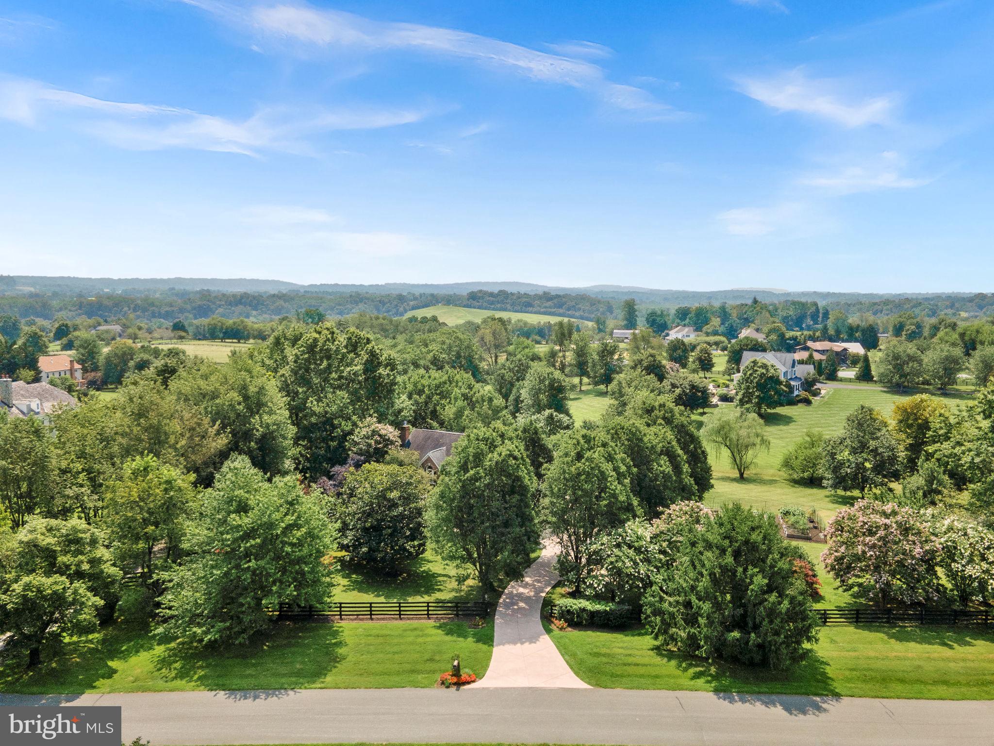 TREVOR HILL - Residential