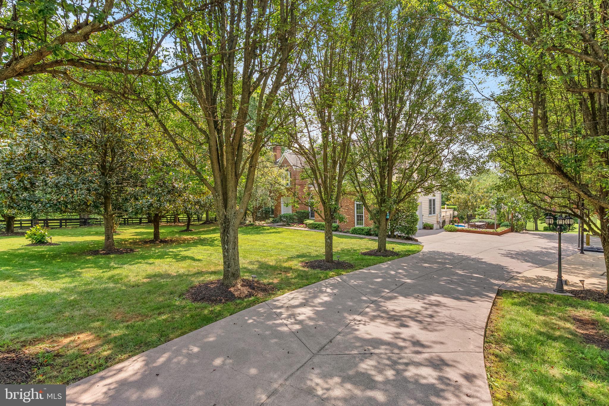 TREVOR HILL - Residential