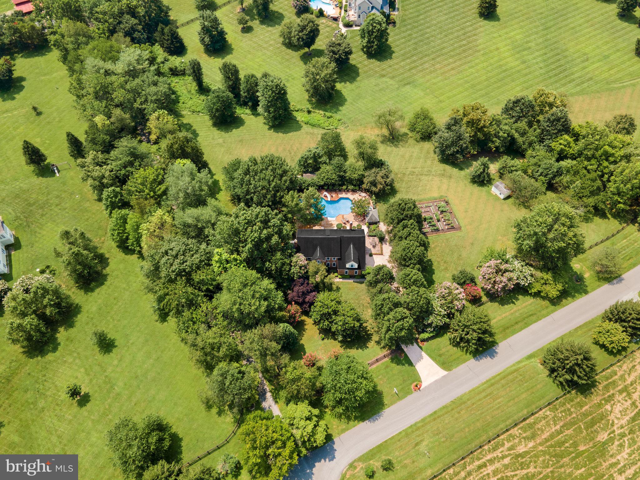 TREVOR HILL - Residential