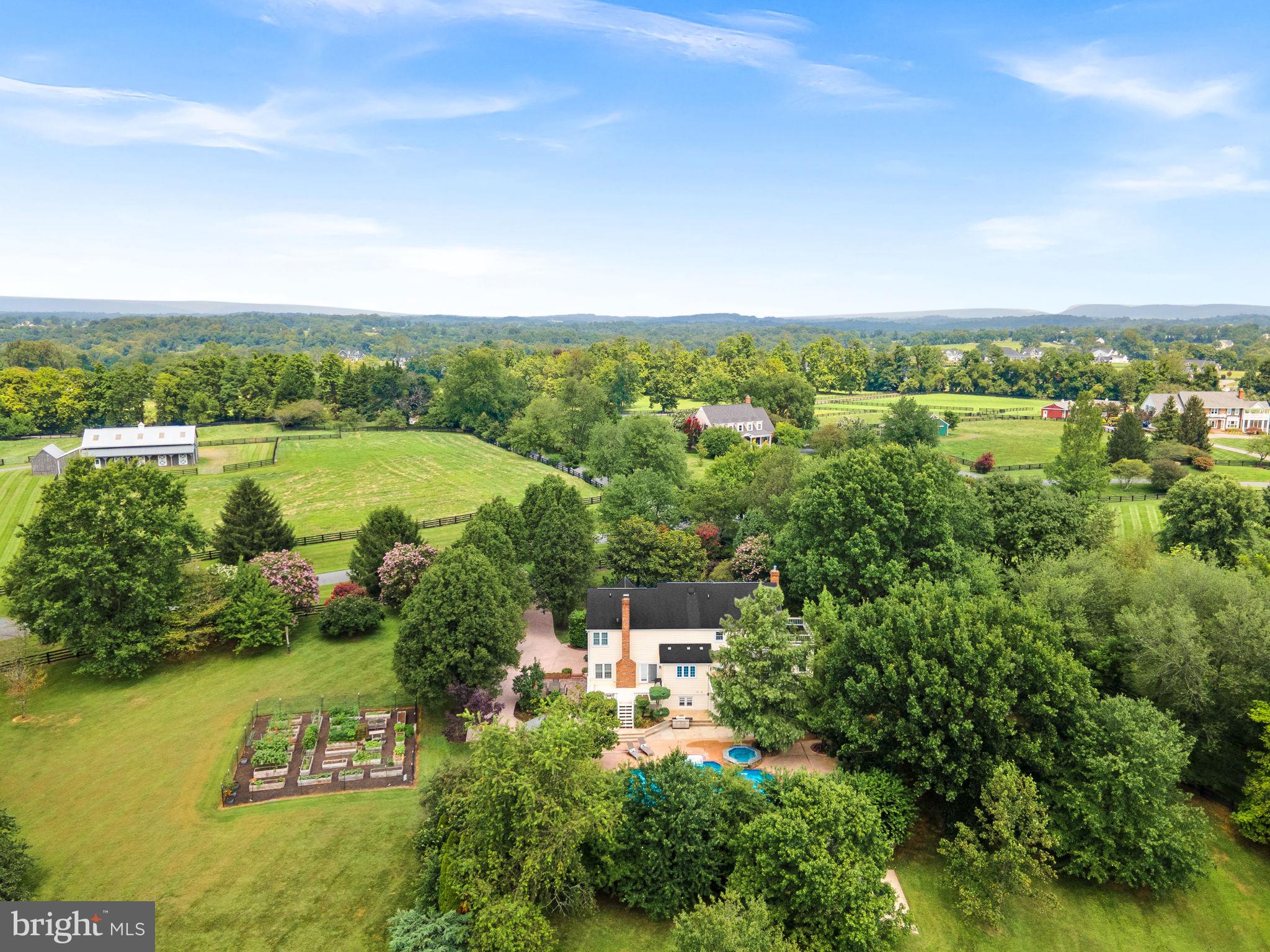 TREVOR HILL - Residential