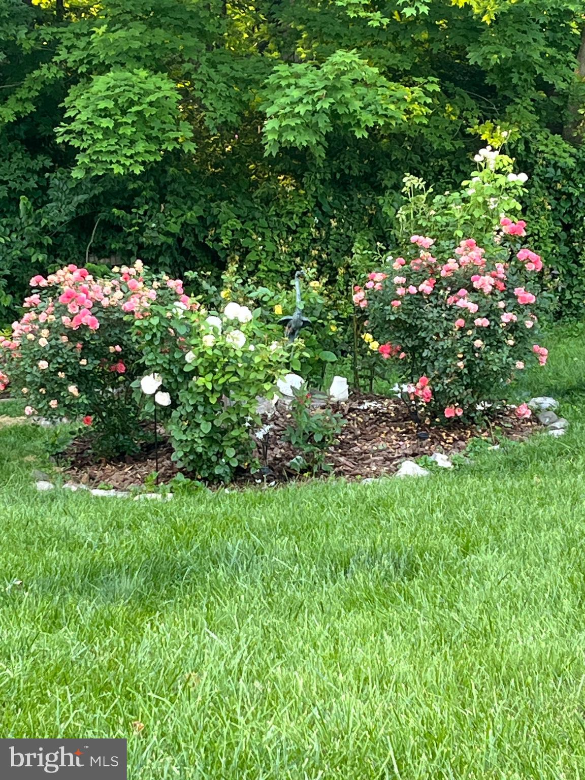 WOODGATE - Residential