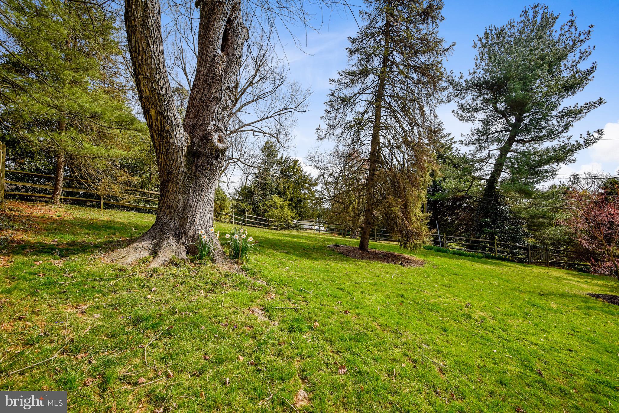 FOX CHAPEL - Residential