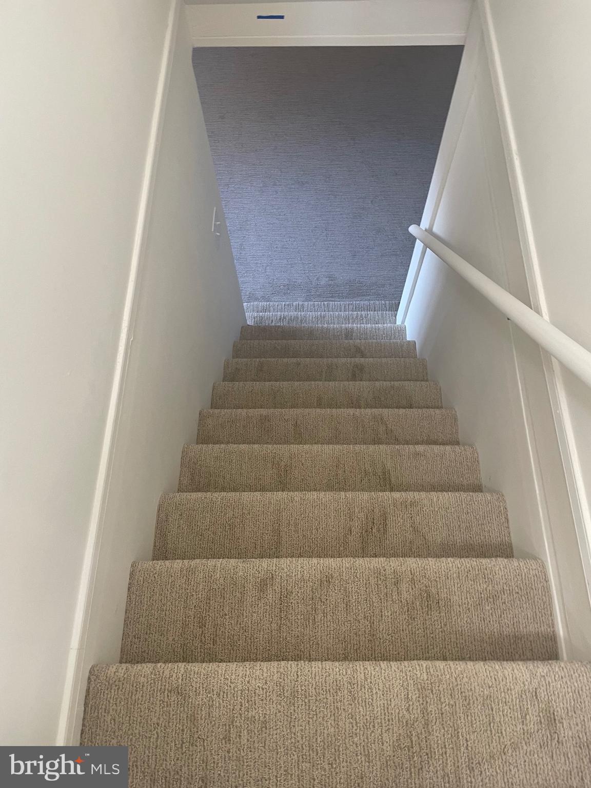 BUCKLERS - Residential