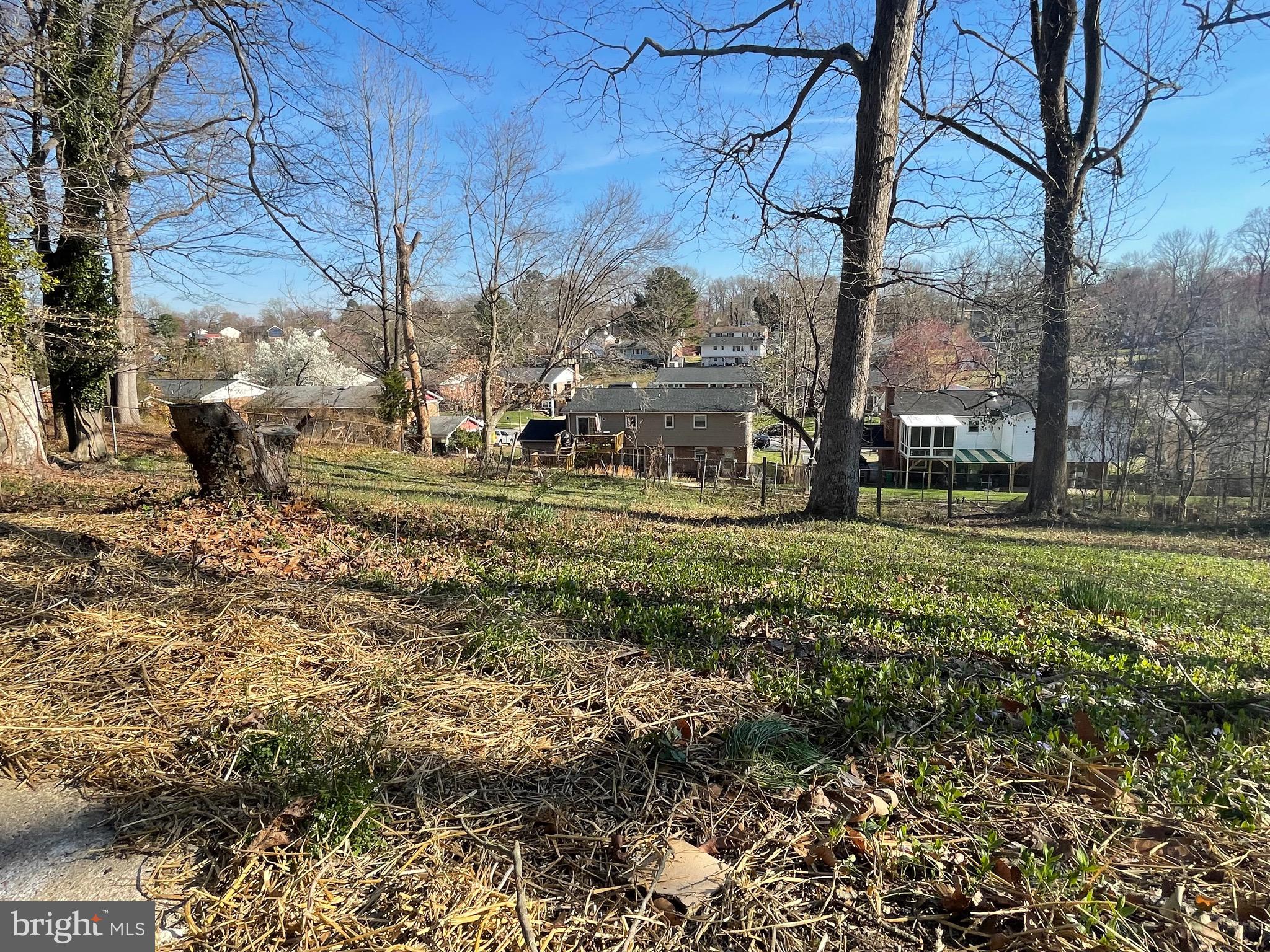 BUCKLERS - Residential