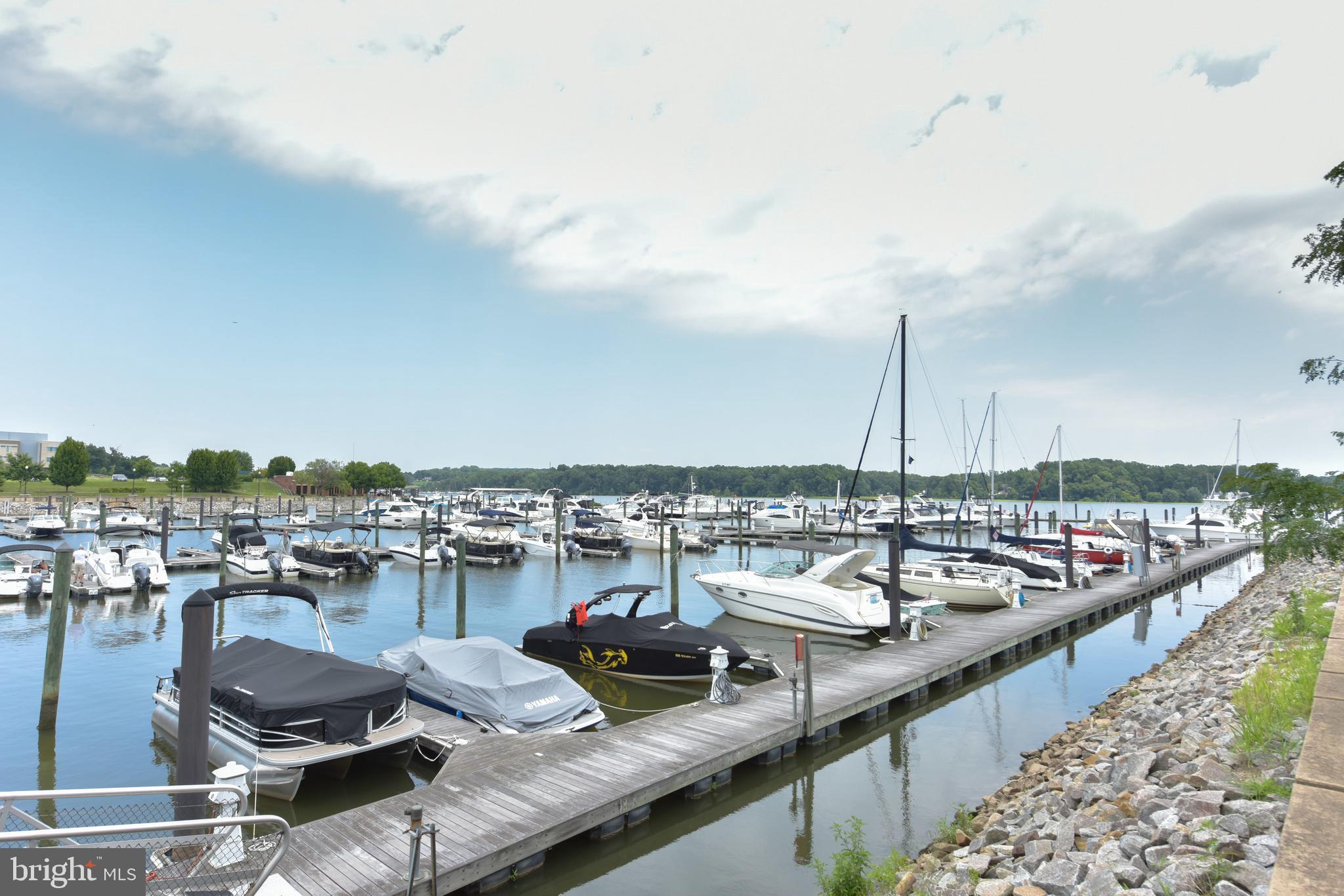 BELMONT BAY - Residential