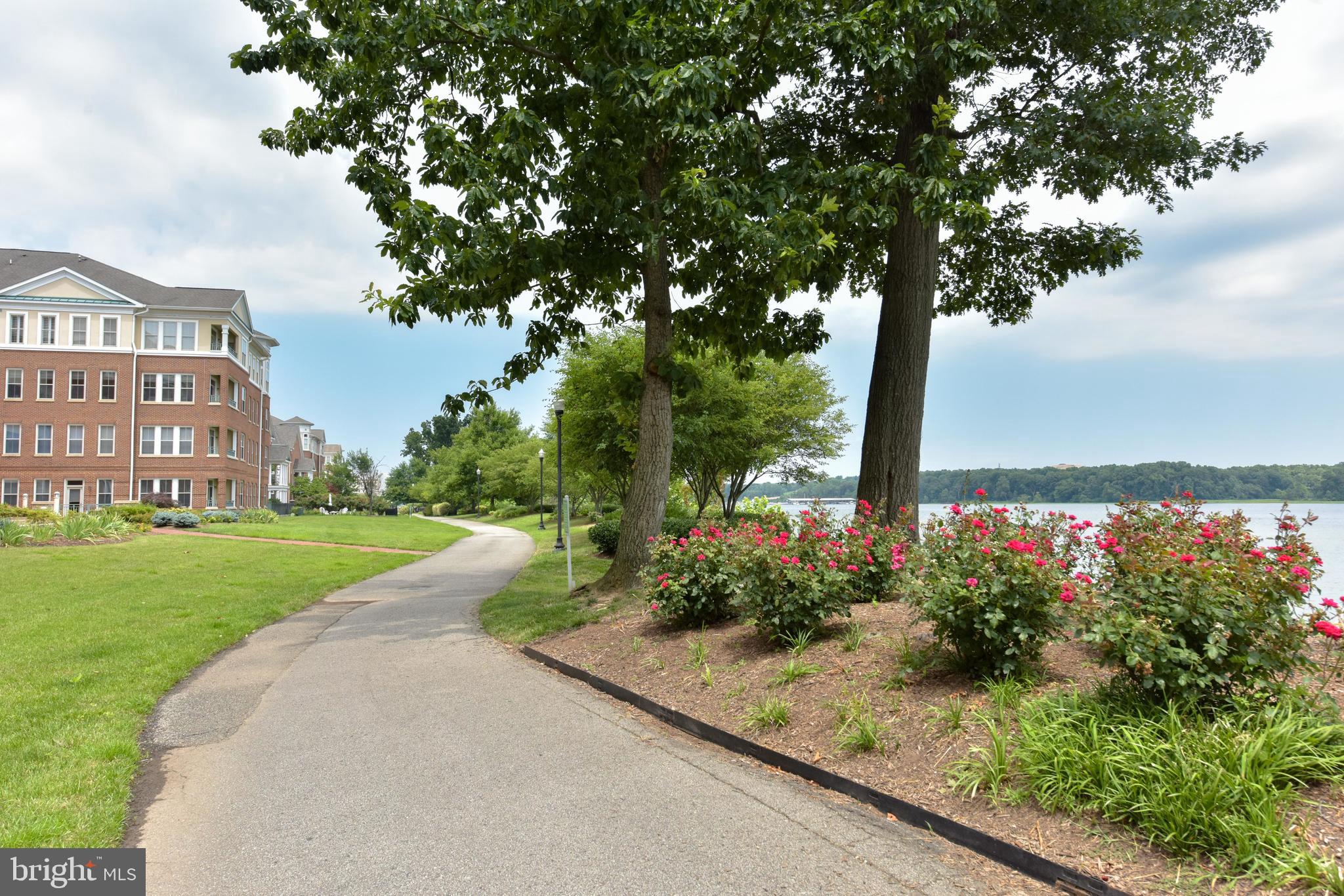 BELMONT BAY - Residential