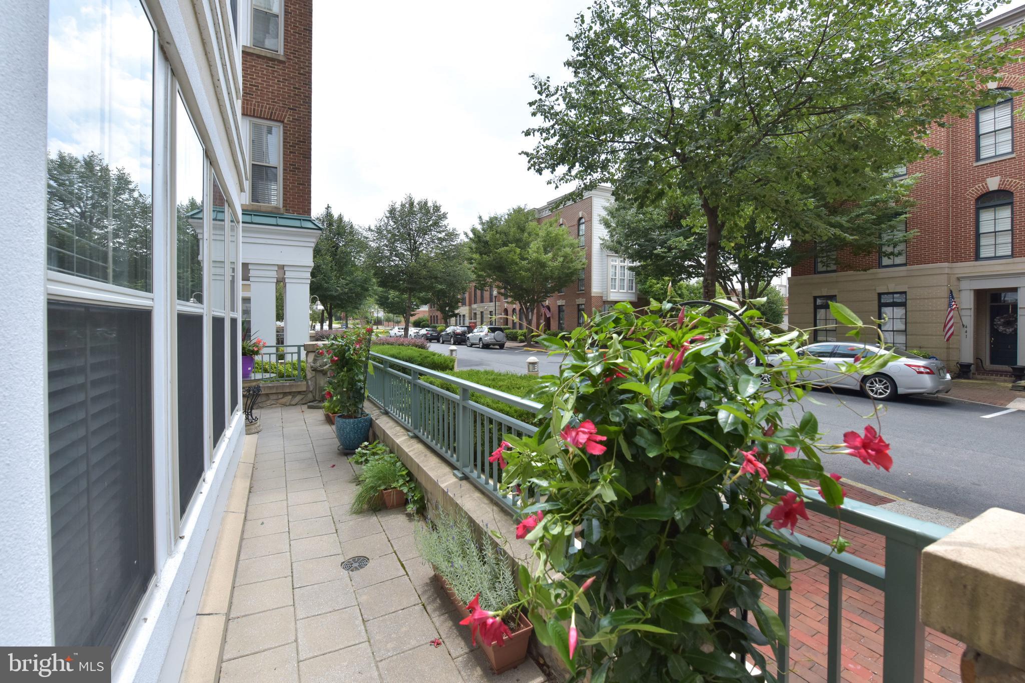 BELMONT BAY - Residential