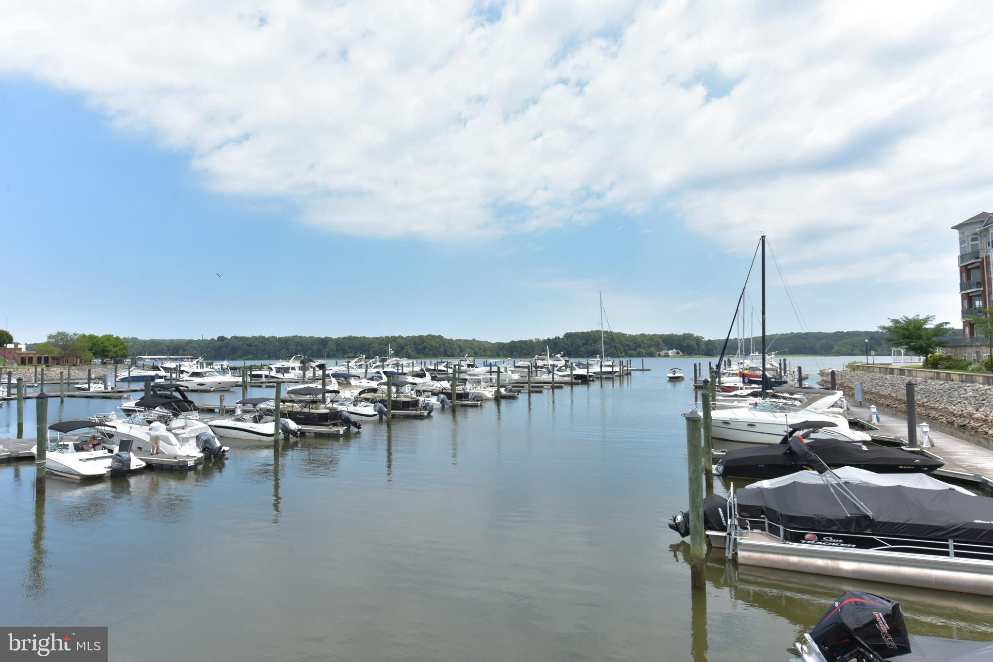 BELMONT BAY - Residential