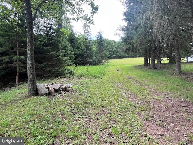 NONE AVAILABLE - Farm