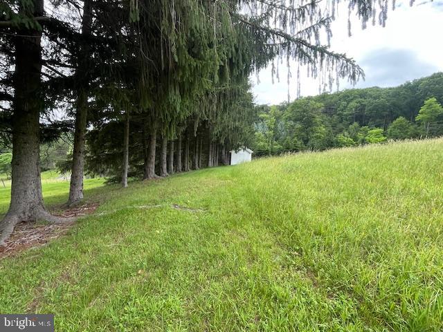 NONE AVAILABLE - Farm