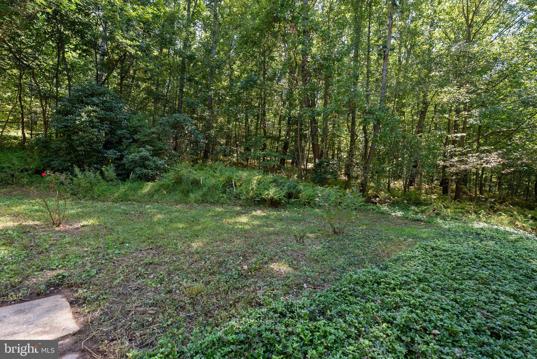 19201 TYSON ROAD
