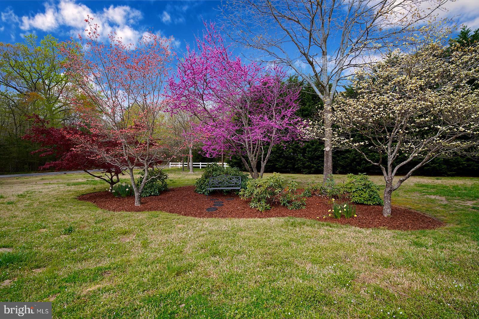 AUGUST RUN - Residential