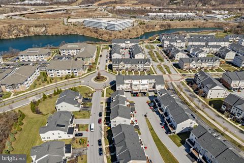 listing image 65