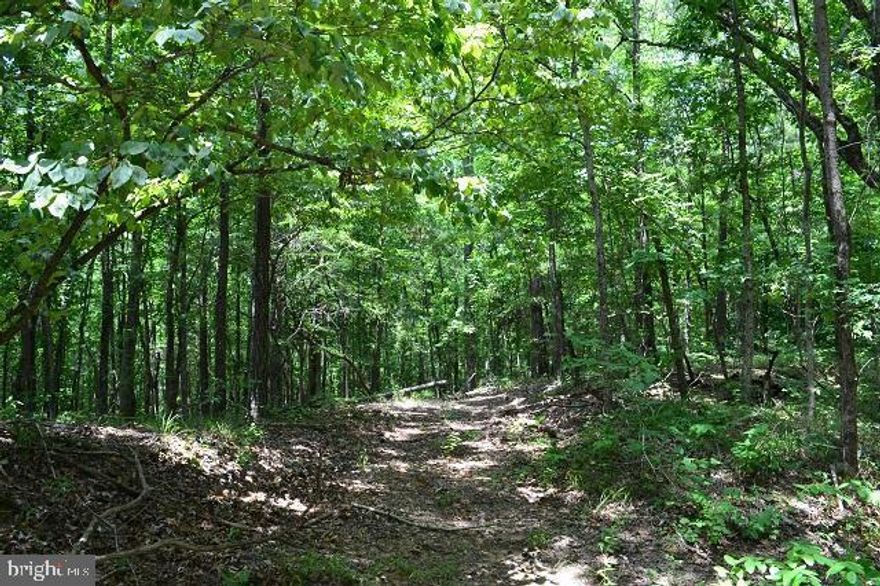 Here is your opportunity to own 6 beautiful acres of vacant land to build your dream home.  The availability of well, electric and Verizon high speed internet now there as well.  The property has had a successful  perc test and an site plan review. These amenities make this plot of land most valuable.  In addition, there are custom homes built the near by which greatly enhances the value and desirability of custom homes in this beautiful part of the county.   Don't wait... show and submit an offer. The owner will consider all offers.