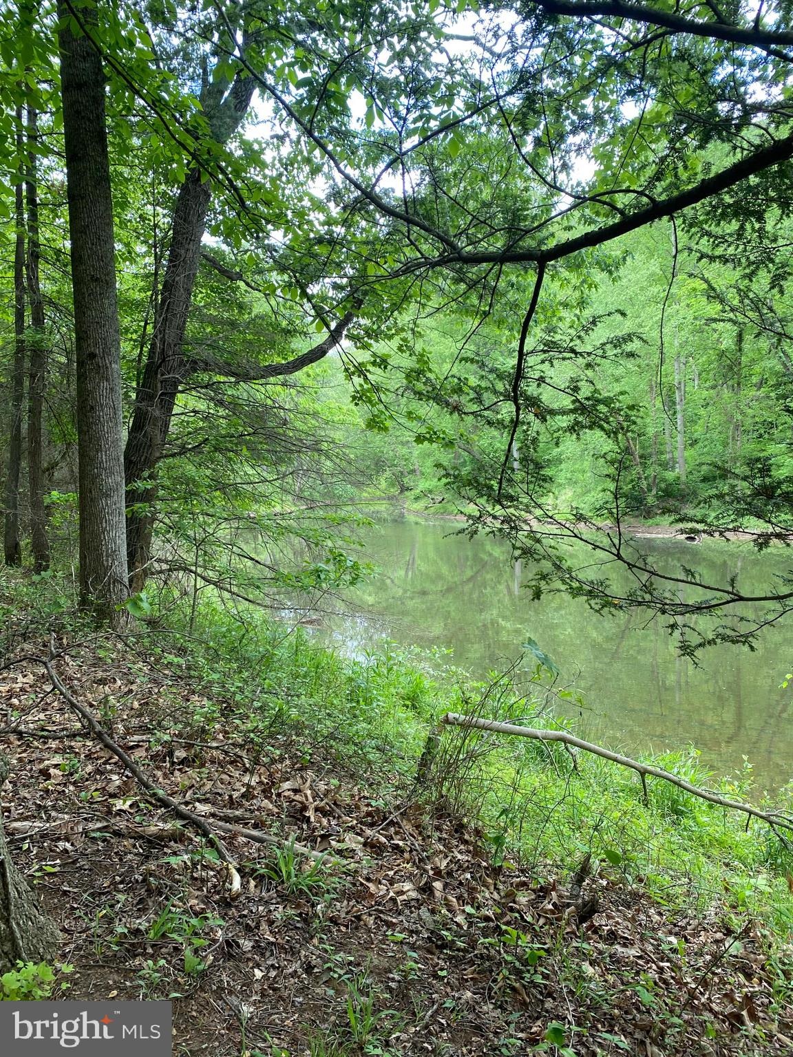 SLEEPY CREEK ORCHARD - Farm