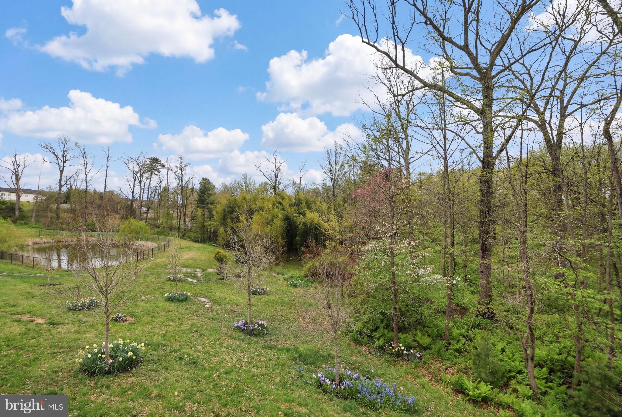 SPRING CREEK - Residential