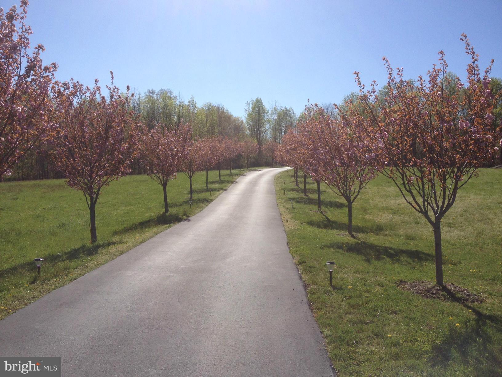 LENAH RUN - Residential