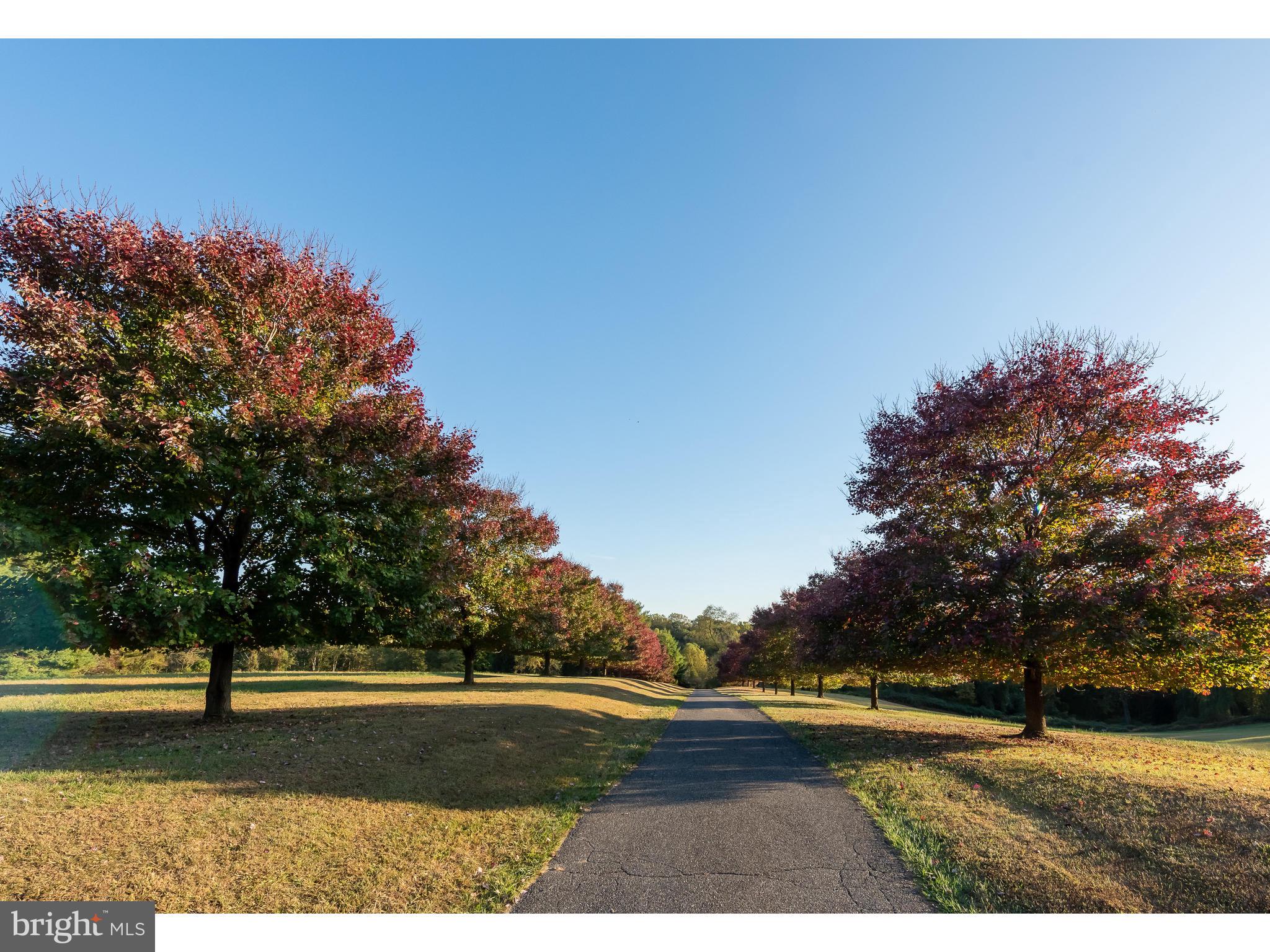 ASHLAND WOODS - Residential