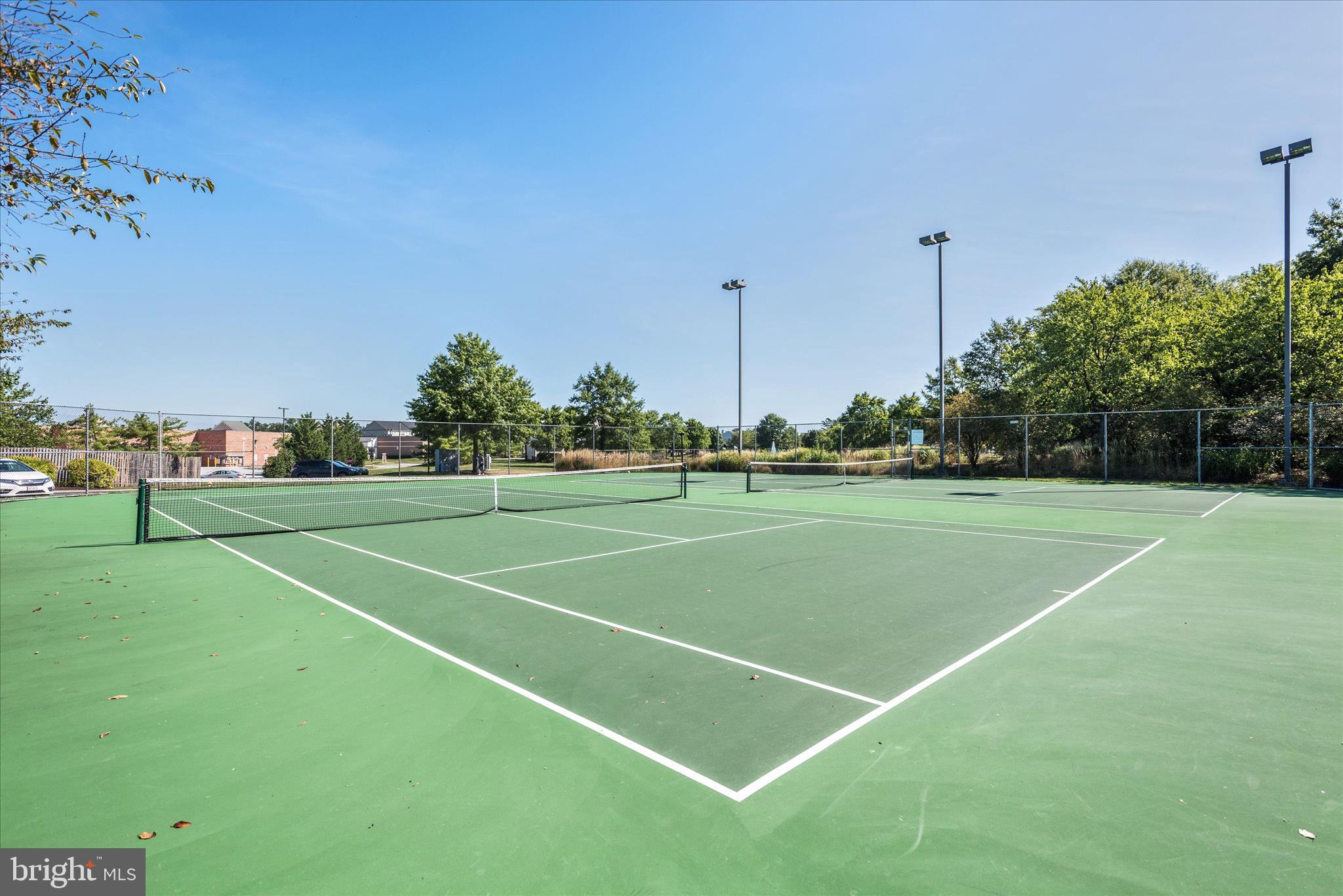 WEST COURTS AT PINEY ORCHARD - Residential