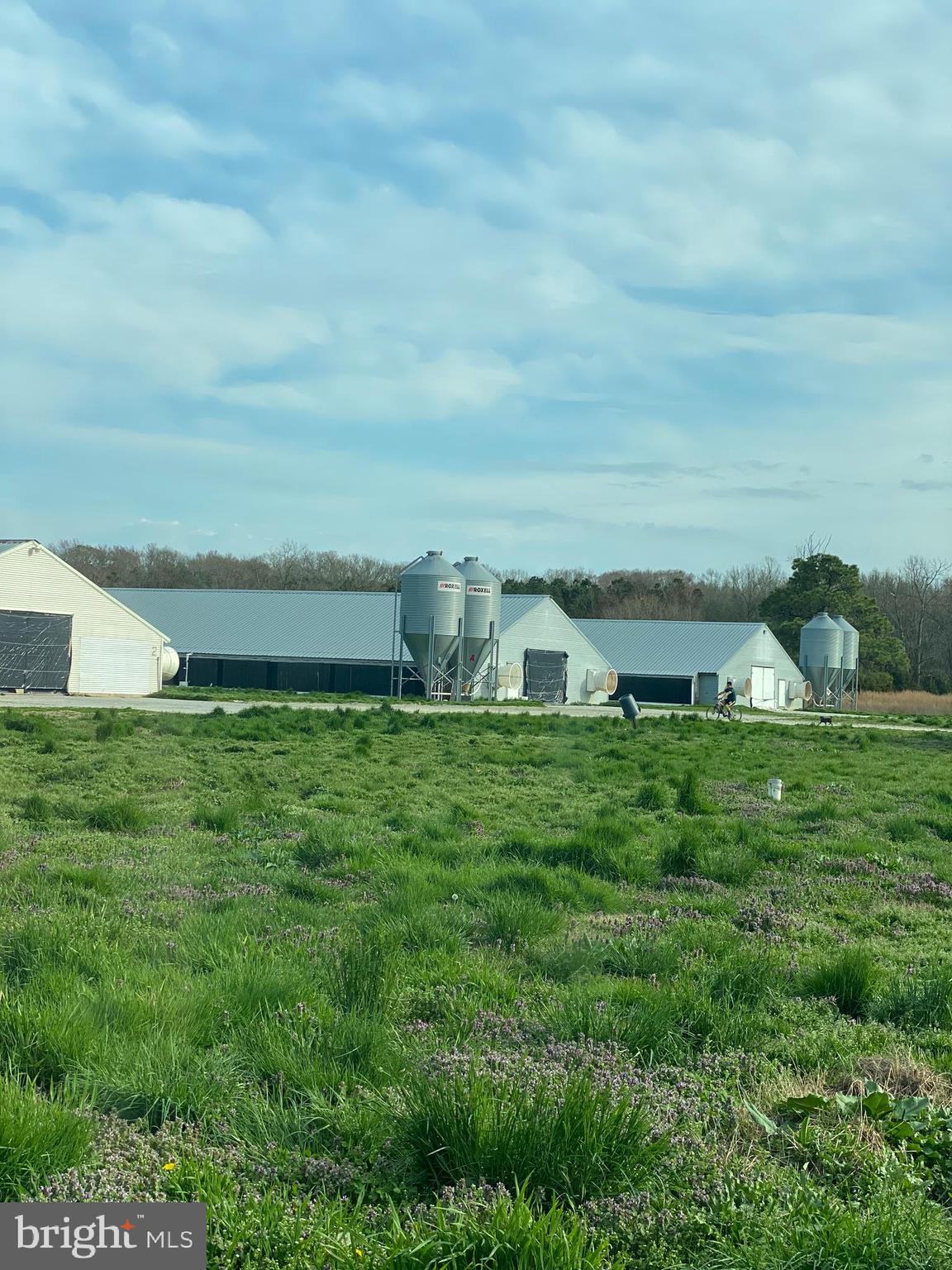 Reduction ALERT!!! Great farm and wonderful price. Well established poultry farm located in Worcester County consisting of 4 broiler houses. House 1, 2) 42 X 500 approx. built 1997 House 3, 4) 46 X 560 approx built 2009 . Property does have a working contract, reach out to see this one today.
Nice two story home 3 bedroom 2 full baths sitting on 21.78 acres
There are also 3 pole houses not in contract or will house any birds. The pole houses are no guarantees the condition or equipment in houses ( any value of condition or equipment is not in the sale of farm, seller has removed some metal from roofs )
Birds will be out end of May schedule your showings to get in before birds place back.... Great farm
Need to be with a Maryland Real Estate Agent to see farm