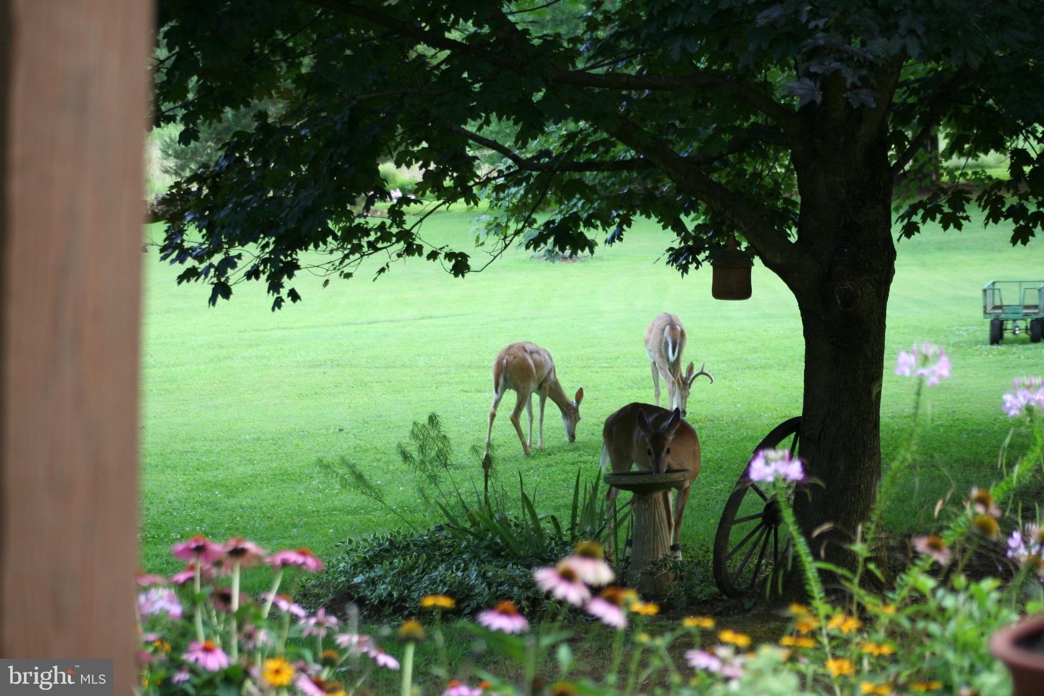BALDWIN RIDGE - Residential