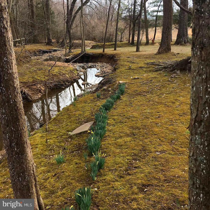 BALDWIN RIDGE - Residential