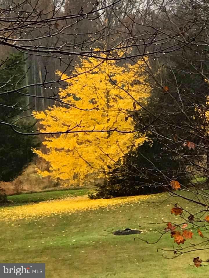 BALDWIN RIDGE - Residential