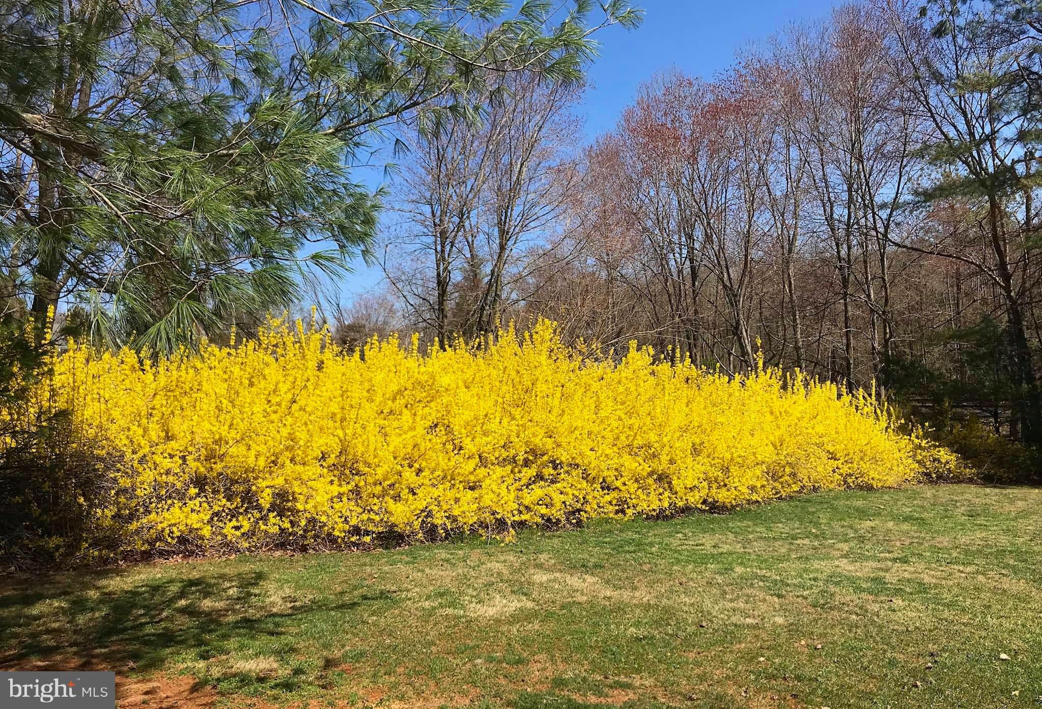 BALDWIN RIDGE - Residential