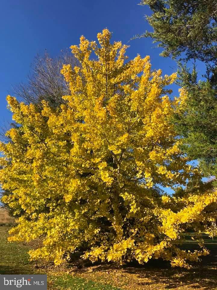 BALDWIN RIDGE - Residential