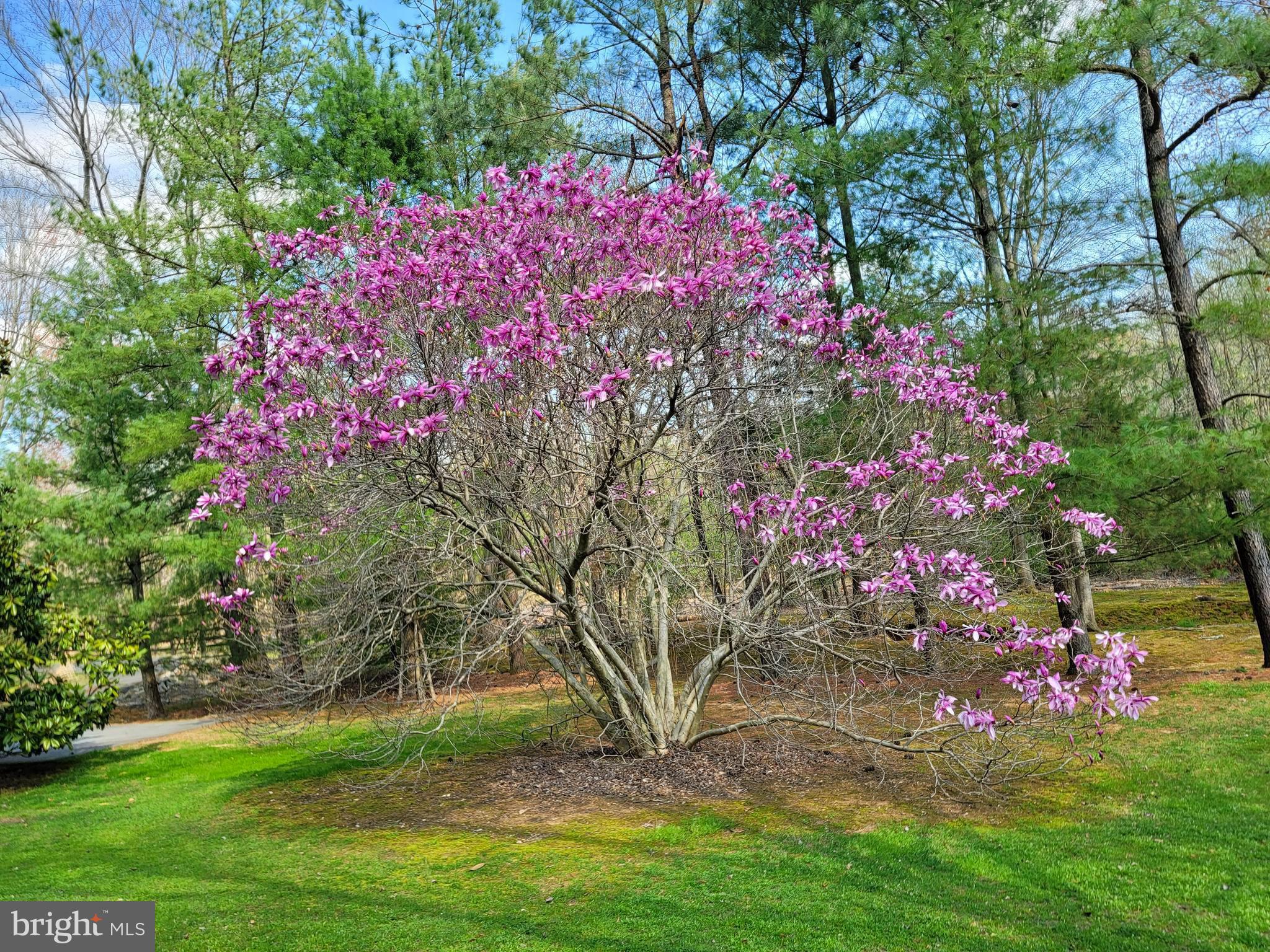 BALDWIN RIDGE - Residential