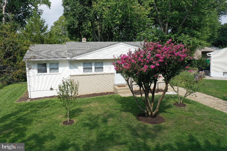 300 DAVID HALL ROAD