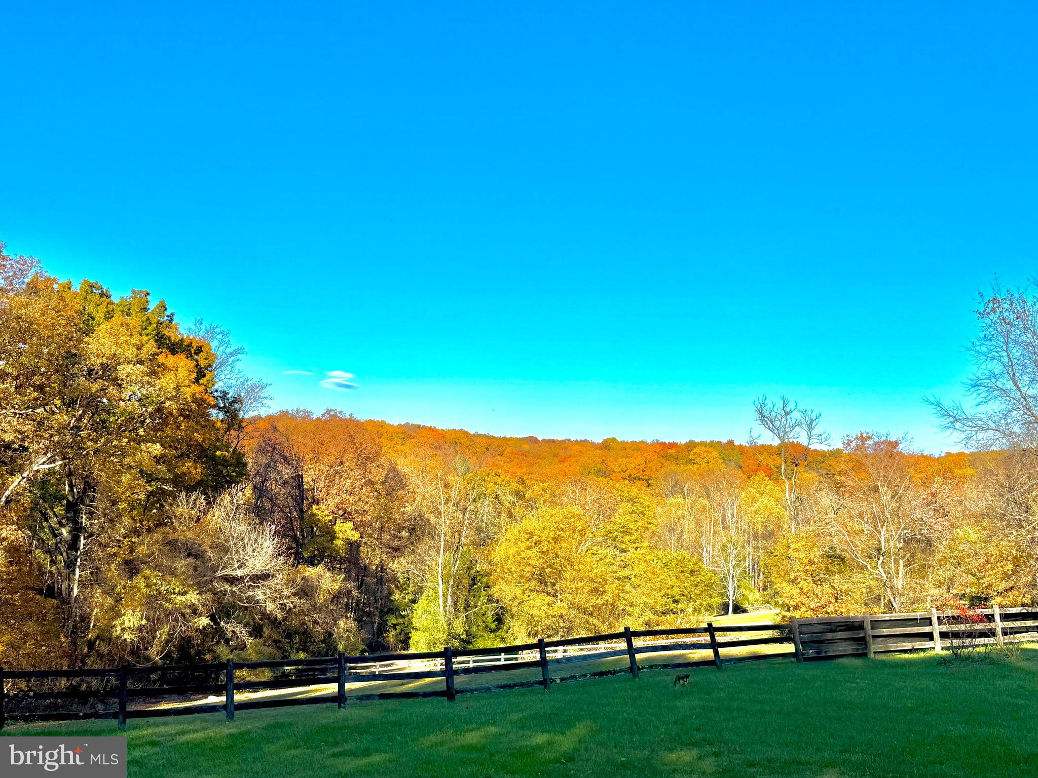 WHITE TAIL RIDGE - Residential