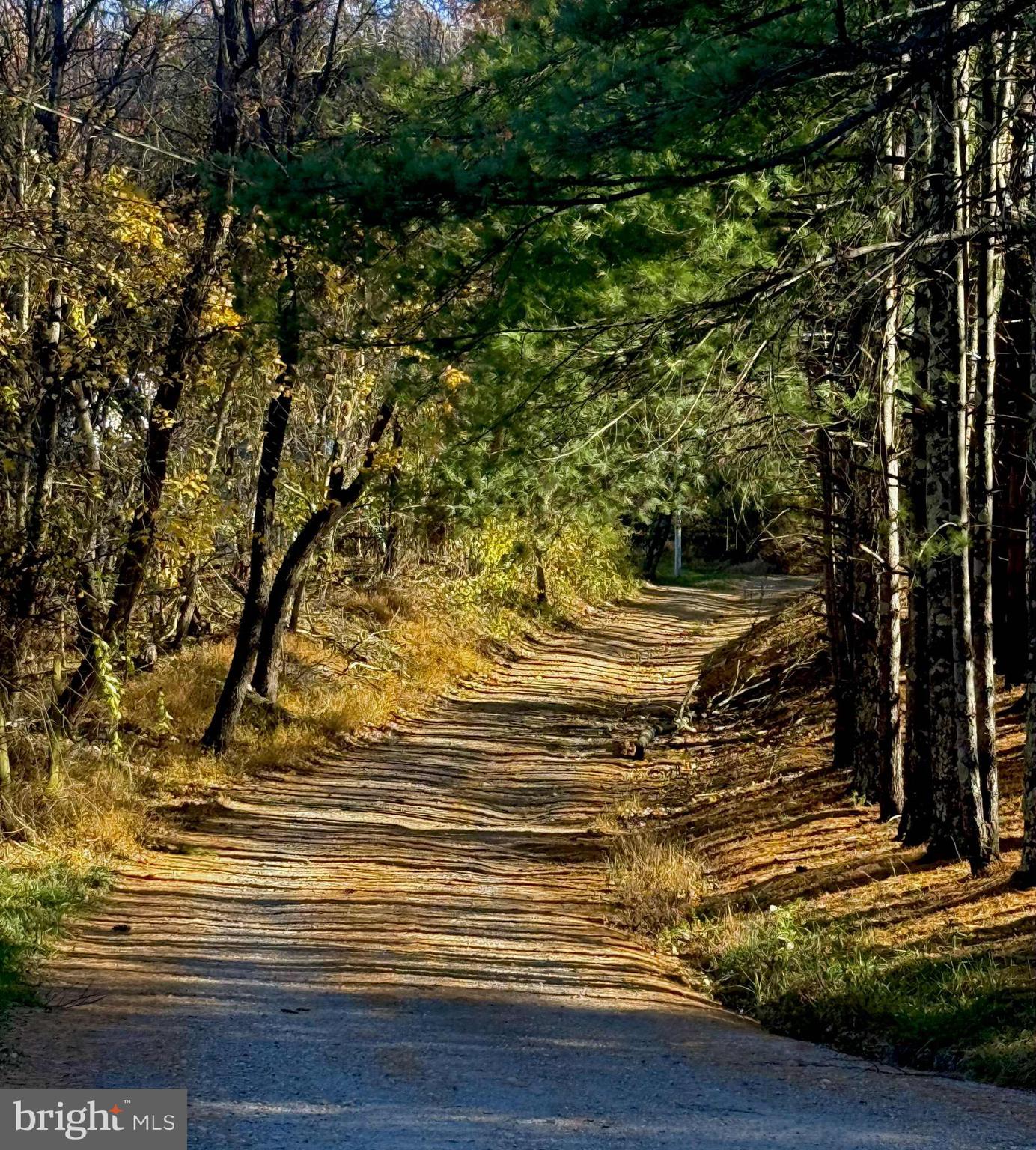 WHITE TAIL RIDGE - Residential
