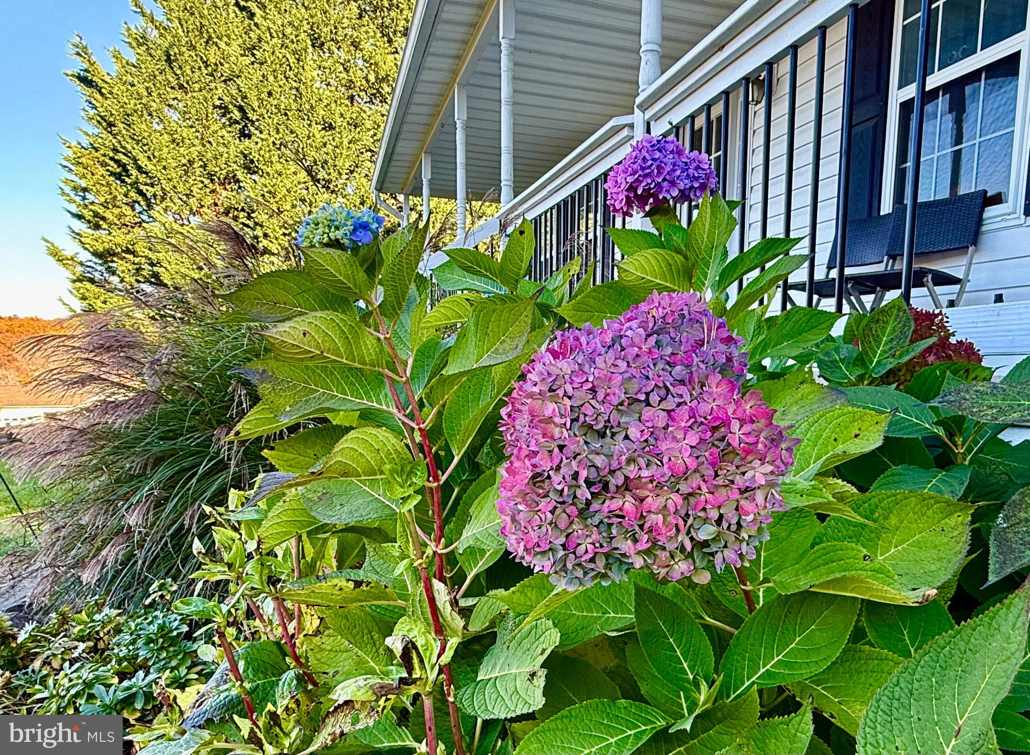 WHITE TAIL RIDGE - Residential