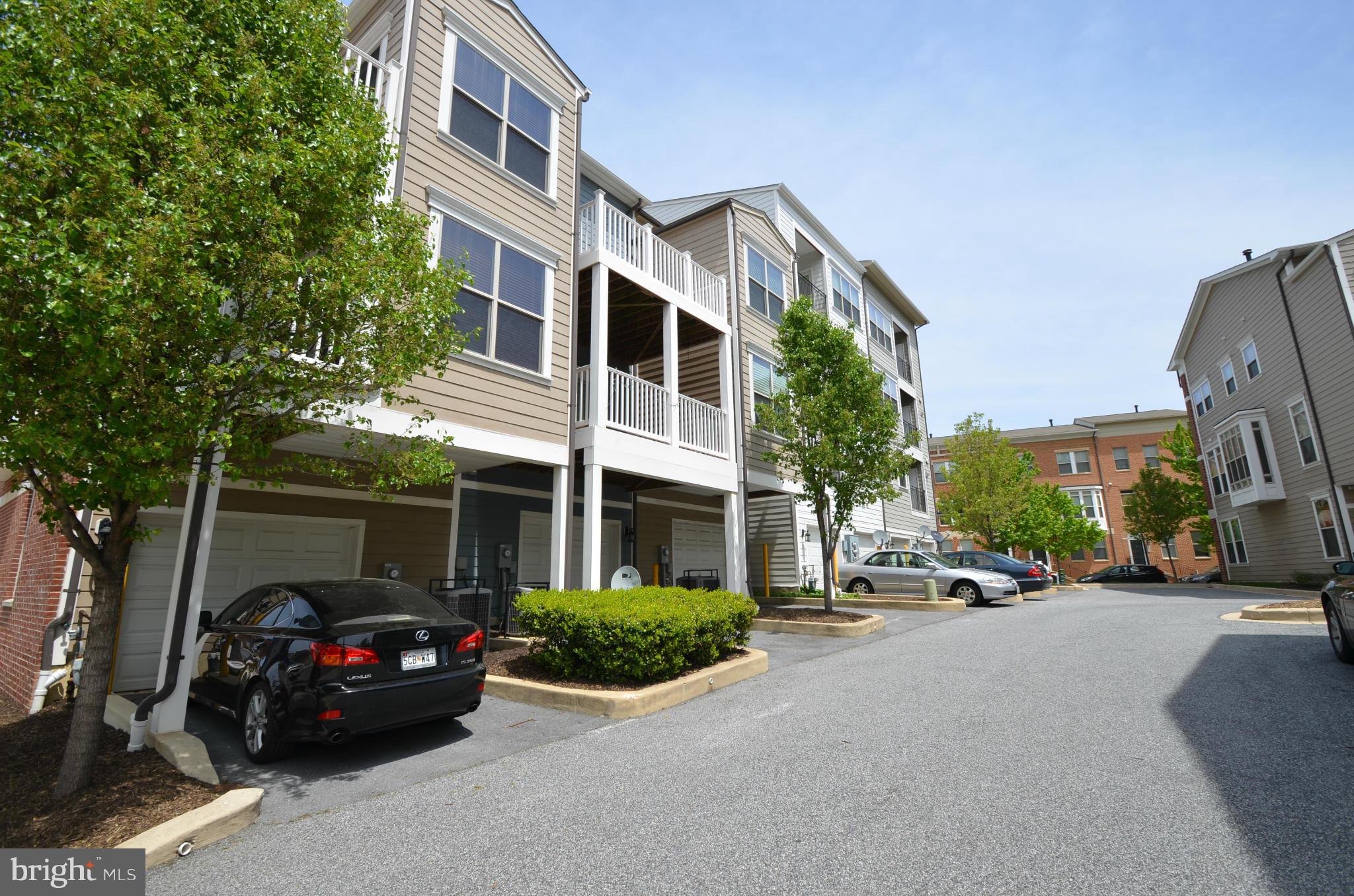 ALBEMARLE SQUARE - Residential Lease