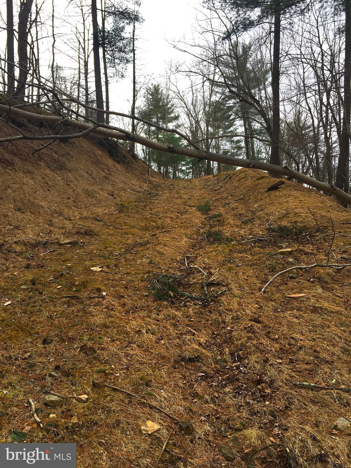 THE CROSSING AT GREAT CACAPON - Residential