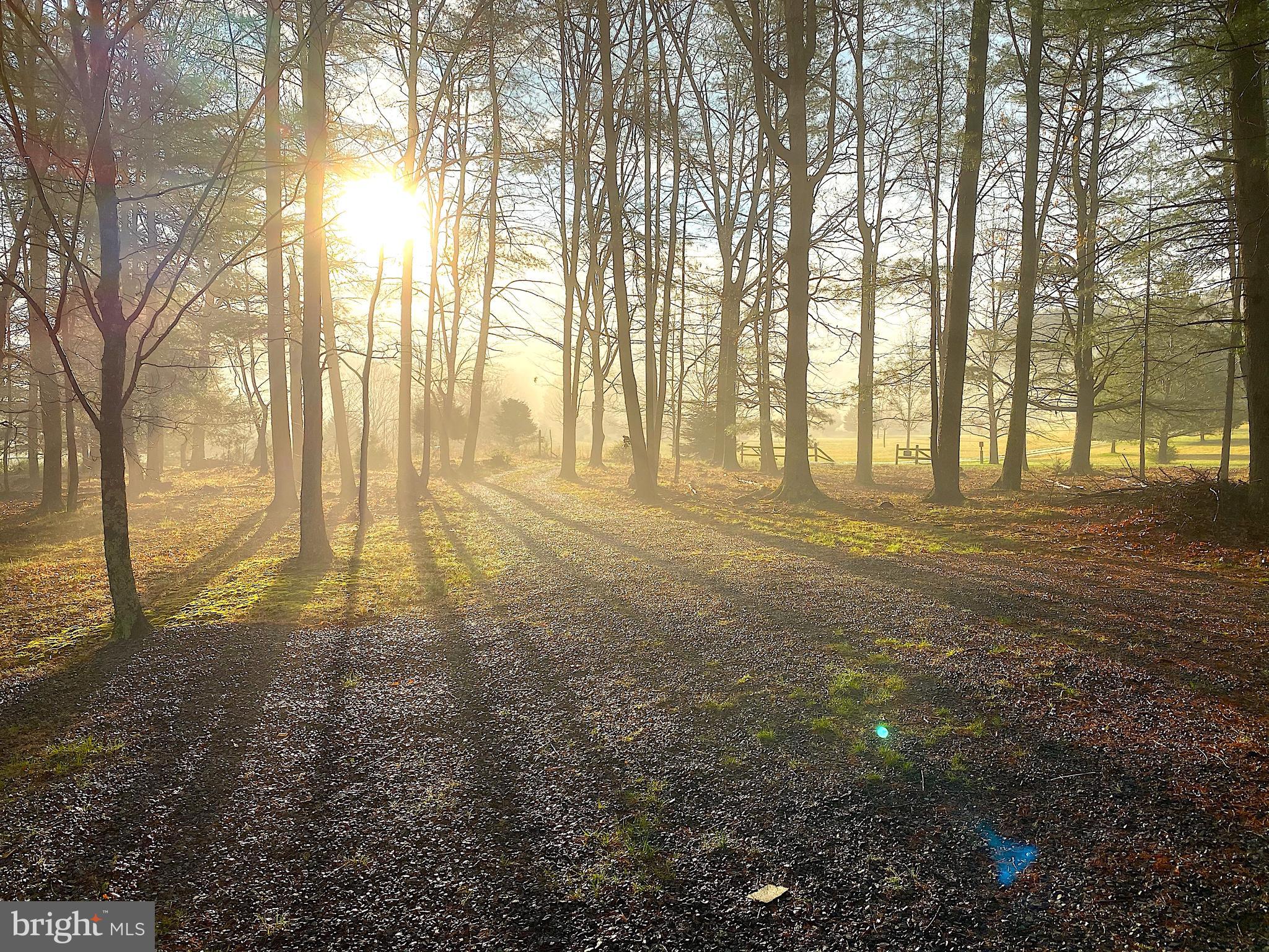 THE CROSSING AT GREAT CACAPON - Residential
