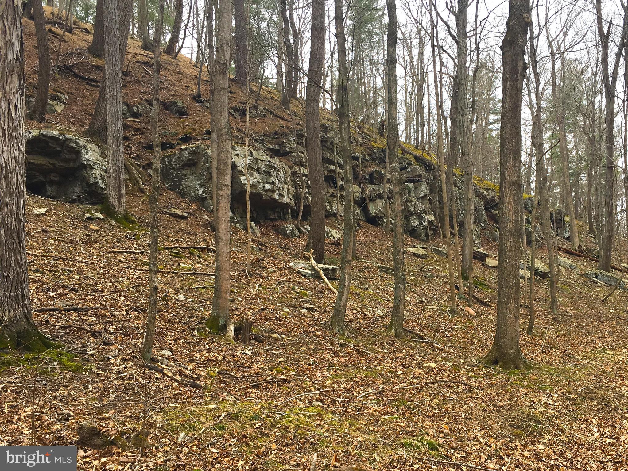 THE CROSSING AT GREAT CACAPON - Residential