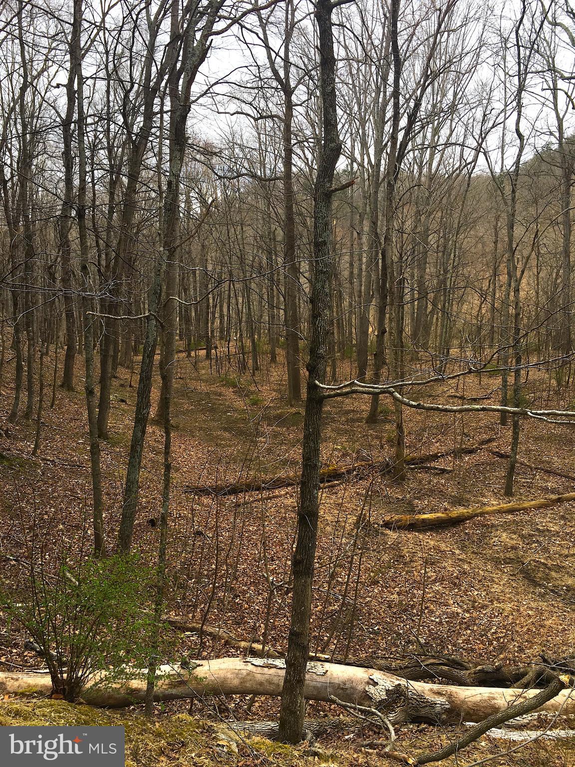 THE CROSSING AT GREAT CACAPON - Residential