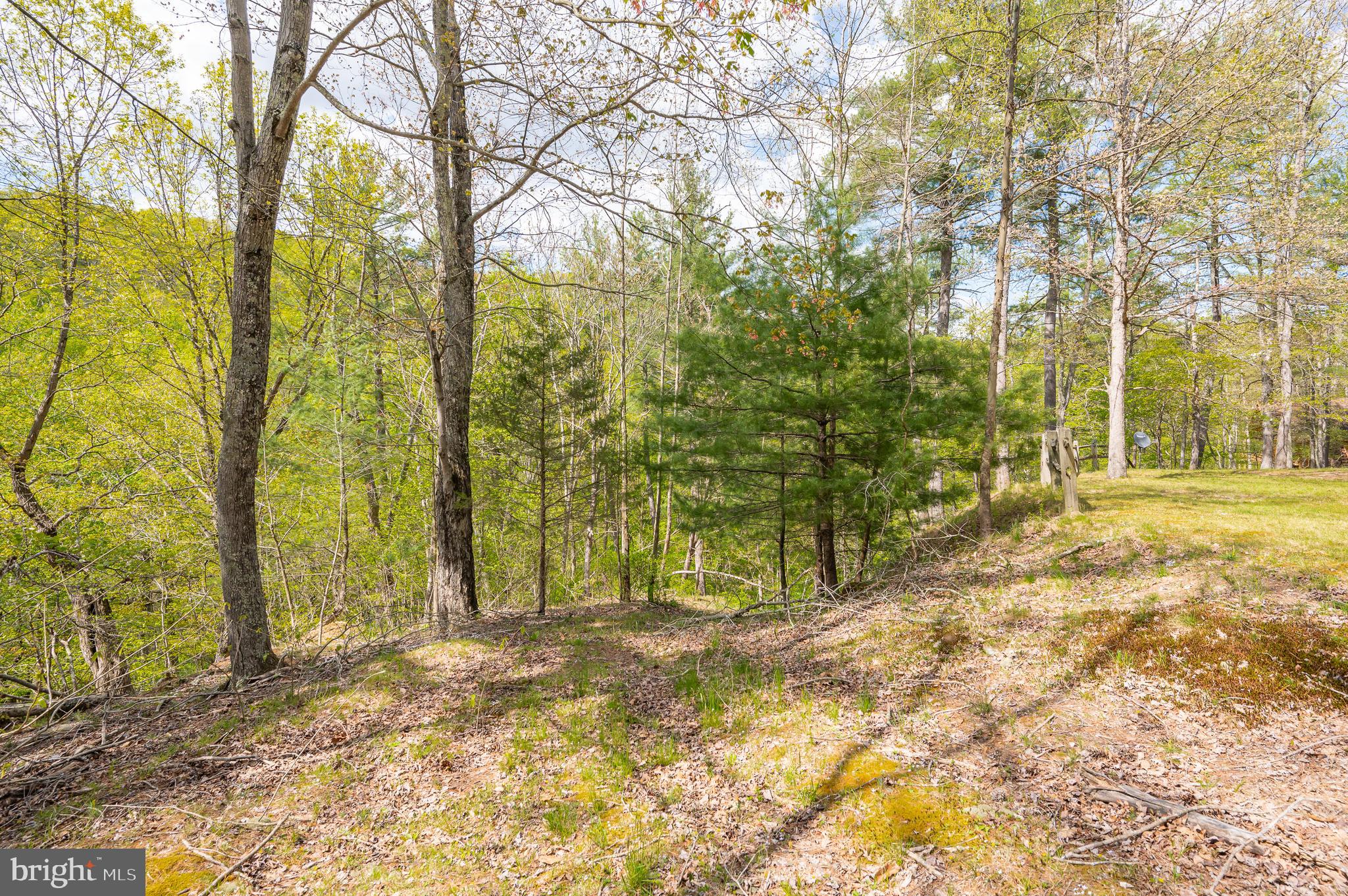 THE CROSSING AT GREAT CACAPON - Residential