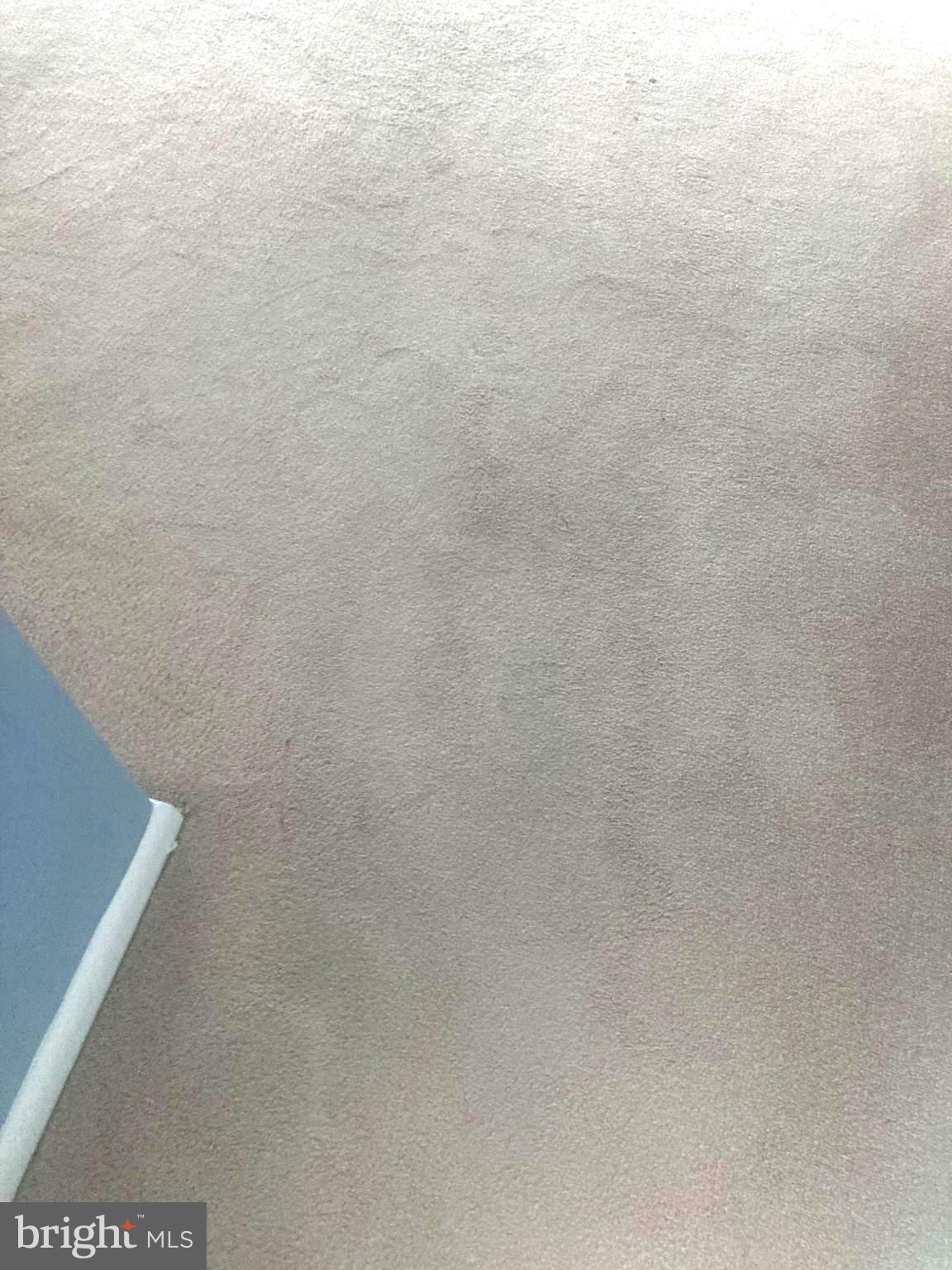 CHELSEA WOODS COURTS - Residential Lease