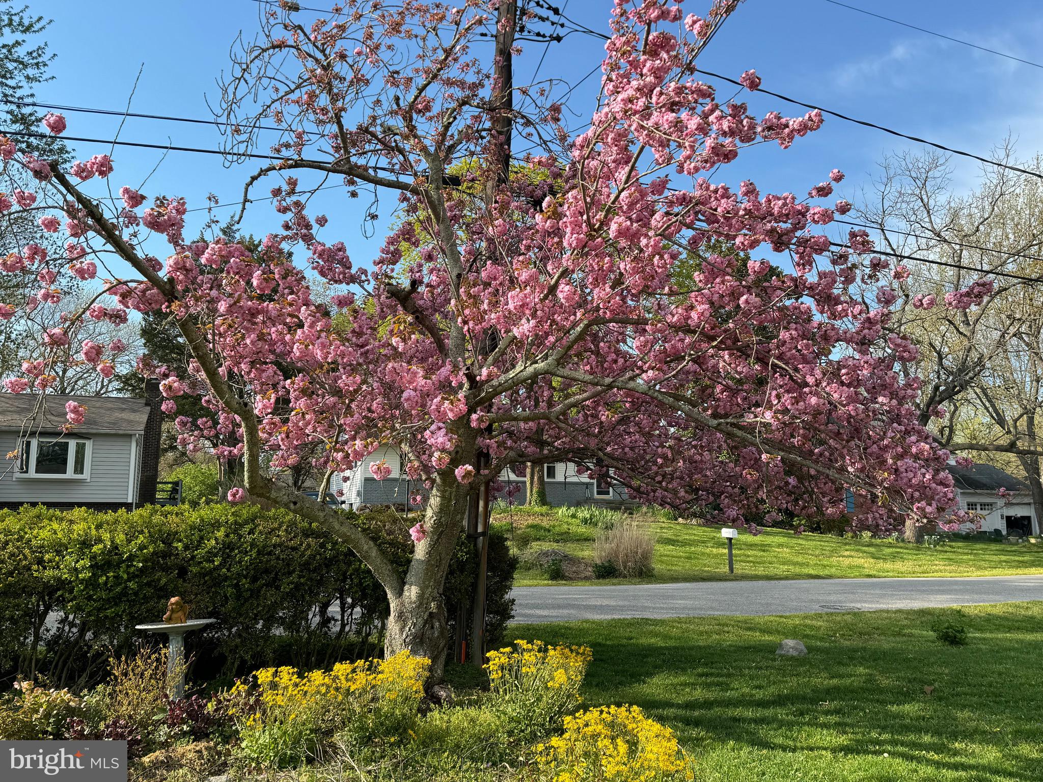 HILLSMERE ESTATES - Residential