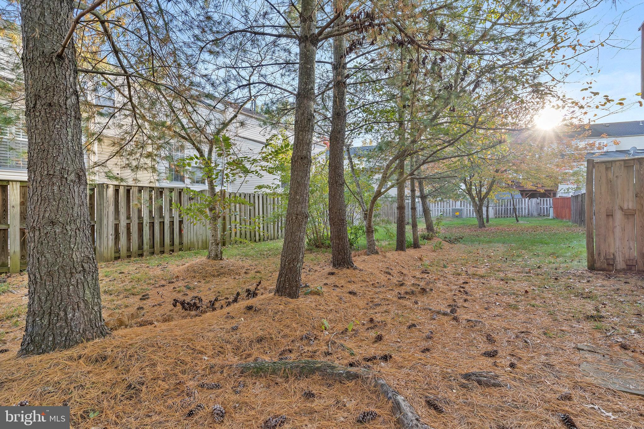 FOREST PARK - Residential